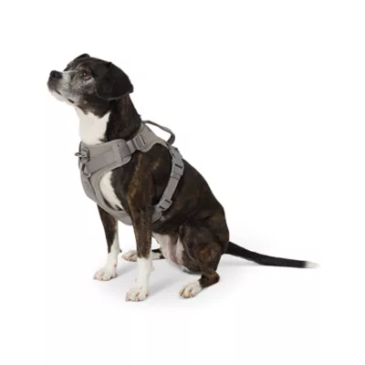 Top Paw® Neoprene Dog Harness, Adjustable, Durable, Comfortable, Multiple Sizes & Colors - Image 2