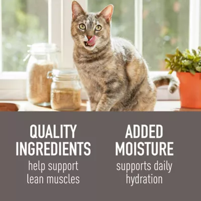 Product Simply Nourish Cat - Adult, Wet Food, Stew, Cup, 2.8 OZ