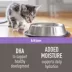 Simply Nourish Kitten Wet Food - Natural, Mousse, 3 Oz image thumbnail 3
