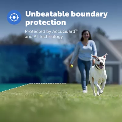 Product PetSafe Guardian® Add-A-Dog® Collar