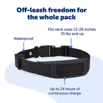 Product PetSafe Guardian® Add-A-Dog® Collar