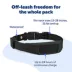 PetSafe Guardian® Add-A-Dog® Collar image thumbnail 5