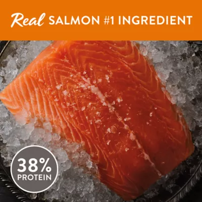 Product Simply Nourish Source Kitten Food - High Protein, Grain Free, Salmon Recipe