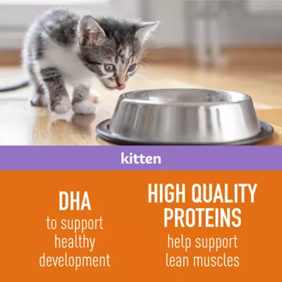 Product Simply Nourish Source Kitten Food - High Protein, Grain Free, Salmon Recipe