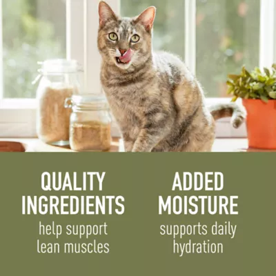 Product Simply Nourish Cat - Adult, Wet Food, Stew, Grain Free, Ocean Fish, 2.8 OZ