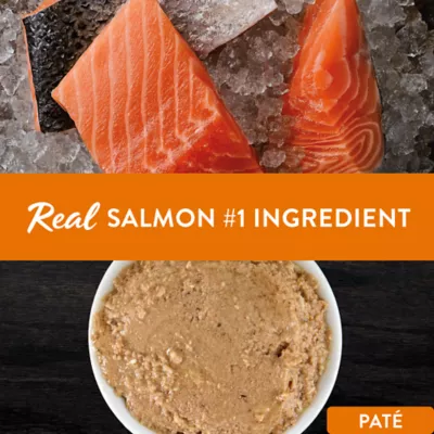 Simply Nourish Cat - Adult, Wet Food, Source, Pate, 3 OZ - Image 2