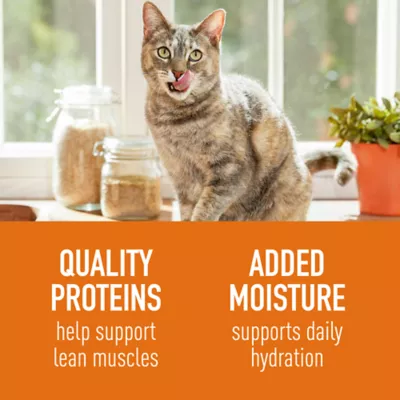 Simply Nourish Cat - Adult, Wet Food, Source, Pate, 3 OZ - Image 3