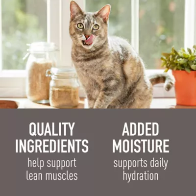 Product Simply Nourish Cat - Adult, Wet Food, Stews, Shredded, Chicken, Quail Egg, 2.8 OZ