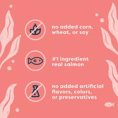 Viva La Kitty Adult Wet Cat Food - Pate, 3 Oz - Image 4