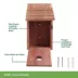 All Living Things® Cedar Wild Bird House image thumbnail 3