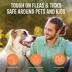 TropiClean Maximum Strength Natural Flea & Tick Shampoo - For Dogs 12 Weeks and Older, 20 Oz Bottle image thumbnail 6