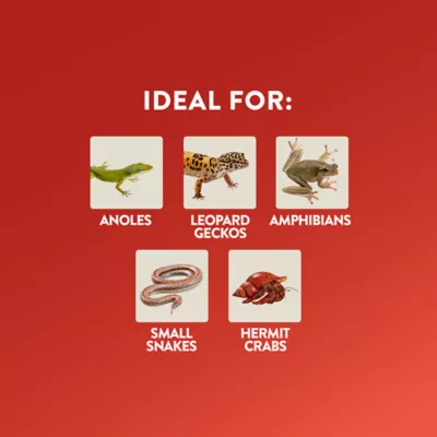 Product Thrive ™ Essentials Kit - 10G
