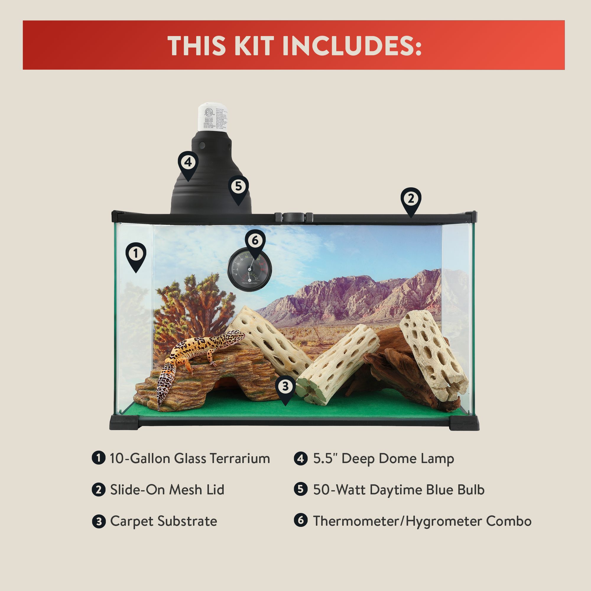 Thrive Terrarium Essentials Kit - Reptile Terrarium Starter Kit - 10 Gallon - 20x10x12 - thumbnail 3