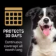 Product NextStar® Flea & Tick Prevention for Medium Dogs 23-44 lbs, 6 Count