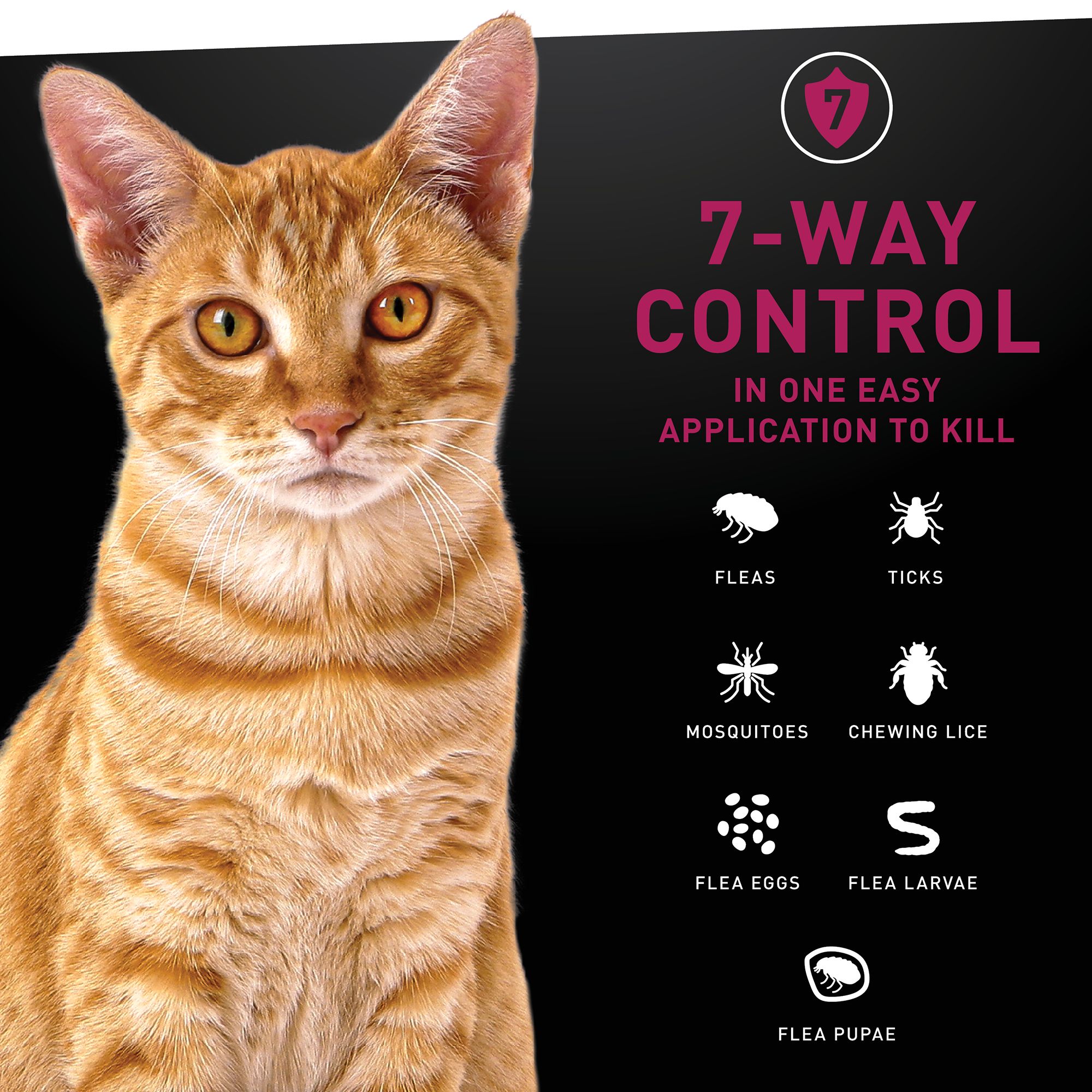 NextStar® Flea & Tick Waterproof Topical Prevention for Cats over 3.5 lbs - thumbnail 3