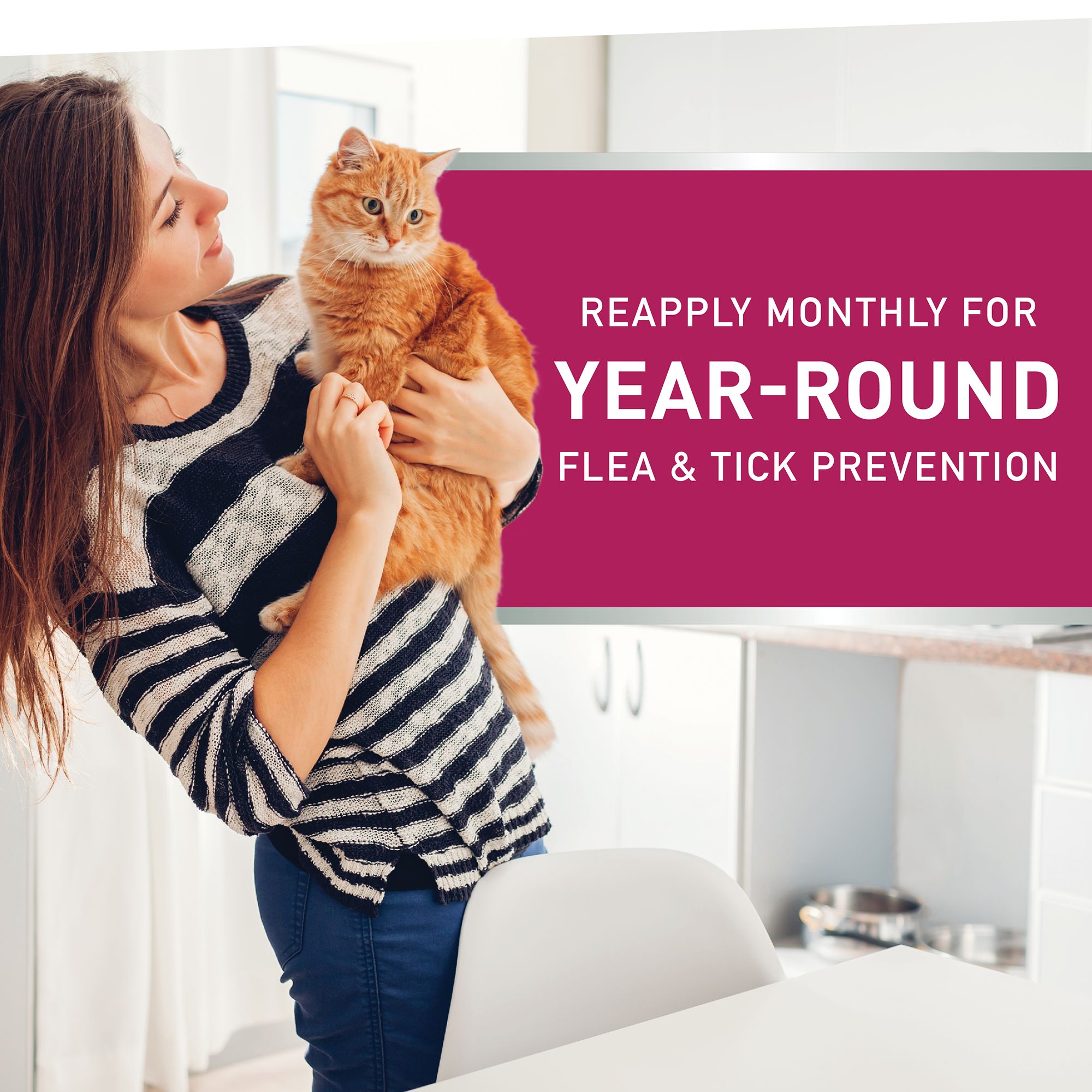 NextStar® Flea & Tick Waterproof Topical Prevention for Cats over 3.5 lbs - thumbnail 4