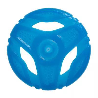 Product Arcadia Trail® Glow-in-the-Dark Blue Flyer Dog Toy