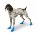 Arcadia Trail®™ Year-Round All-Terrain Dog Boots image thumbnail 1