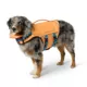 Product Arcadia Trail® High Visibility Lifejacket