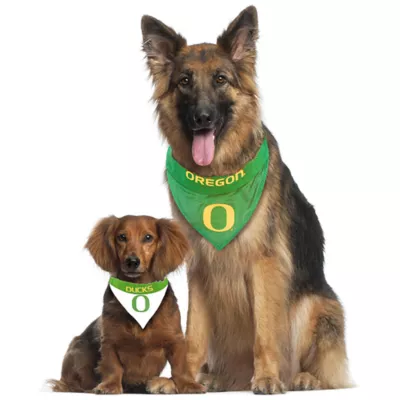 Pets First Oregon Bandana - Image 4