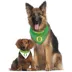 Pets First Oregon Bandana image thumbnail 4