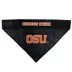 Pets First Oregon State Bandana image thumbnail 3