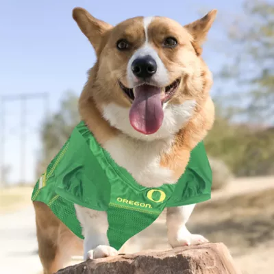 Pets First Oregon Ducks Jersey - Image 4