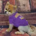 Minnesota Vikings NFL Team Tee image thumbnail 2