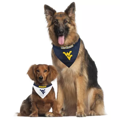 Pets First West Virginia Bandana - Image 4