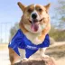 Pets First Kentucky Mesh Jersey image thumbnail 4