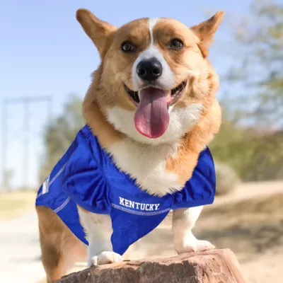 Pets First Kentucky Mesh Jersey - Image 4