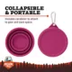 Product  Arcadia Trail® Collapsible Dog Bowl with Lid