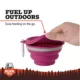 Product  Arcadia Trail® Collapsible Dog Bowl with Lid