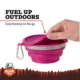 Product  Arcadia Trail® Collapsible Dog Bowl with Lid