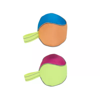 Product Arcadia Trail® Reflective Balls Dog Toy 2-Pack