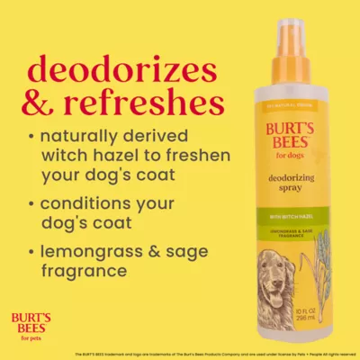Burt's Bees® Deodorizing Dog Spray with Witch Hazel - Lemongrass & Sage 10 oz - Image 5
