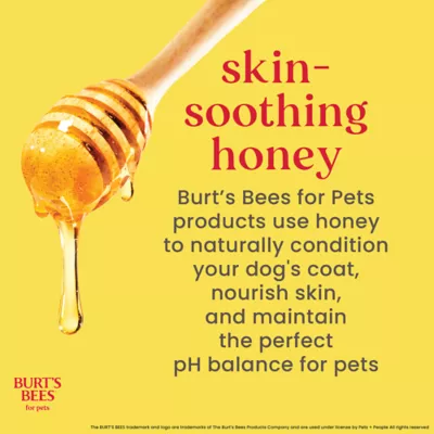 Burt's Bees® Deodorizing Dog Spray with Witch Hazel - Lemongrass & Sage 10 oz - Image 9