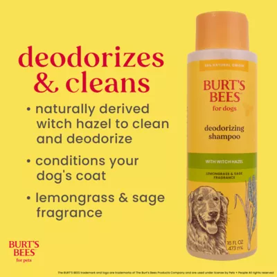 Burt's Bees® Deodorizing Shampoo for Dogs with Witch Hazel - Lemongrass & Sage 16 oz - Image 5