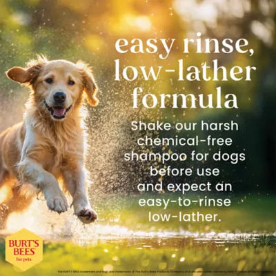Burt's Bees® Deodorizing Shampoo for Dogs with Witch Hazel - Lemongrass & Sage 16 oz - Image 10