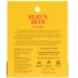 Burt's Bees for Pets Care Plus+ Naturally Derived Nose & Paw Balm with Beeswax and Cocoa Butter image thumbnail 4