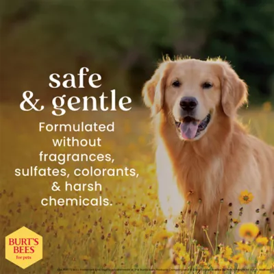 Burt's Bees® Dog Nose & Paw Balm with Beeswax and Cocoa Butter - 0.45 oz - Image 6