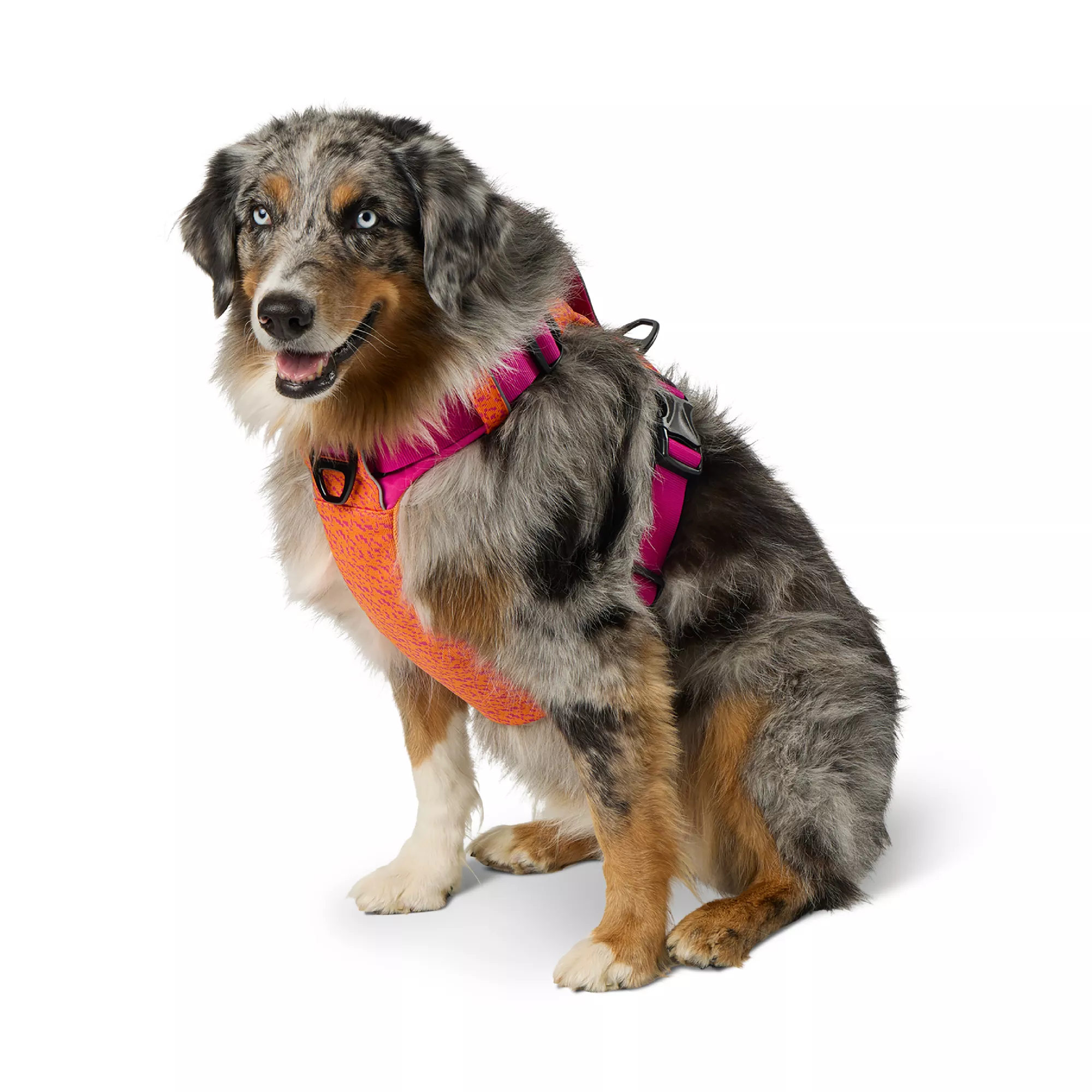 Arcadia Trail® Breathable Knit Dog Harness