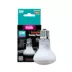 Arcadia Reptile GoldenSun® Basking Flood Light Basking Heat Bulb - 50-75 watt image thumbnail 3