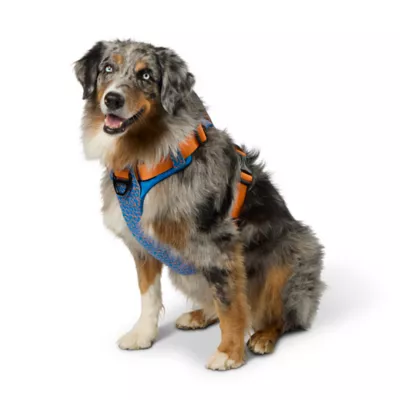 Product Arcadia Trail® Breathable Knit Dog Harness