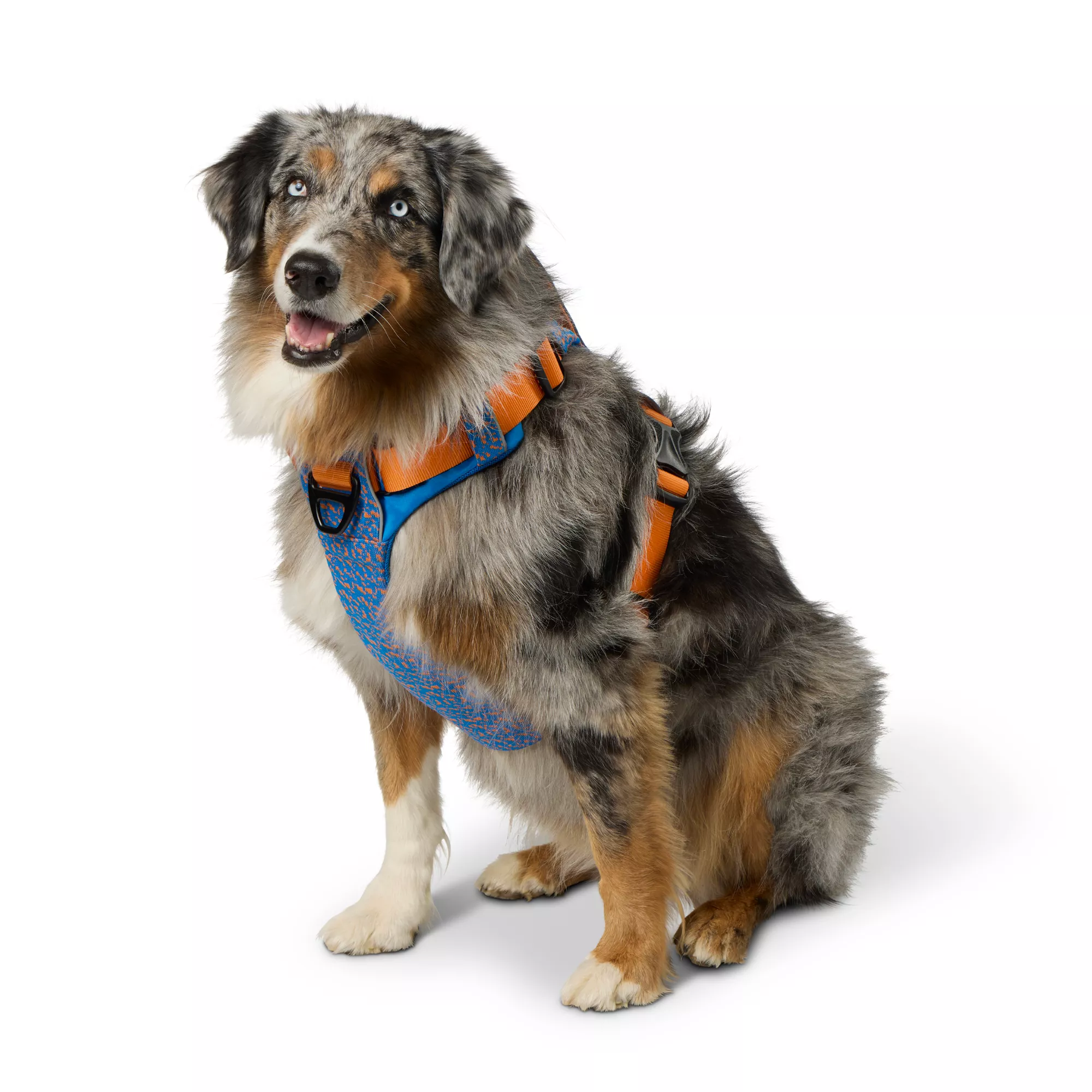 Arcadia Trail® Breathable Knit Dog Harness