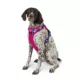 Product Arcadia Trail® Lightweight Dog Harness