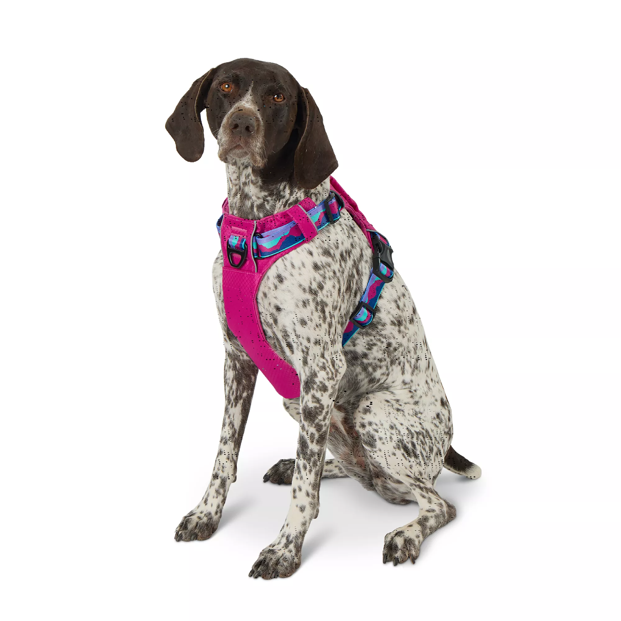 Arcadia Trail® Lightweight Dog Harness