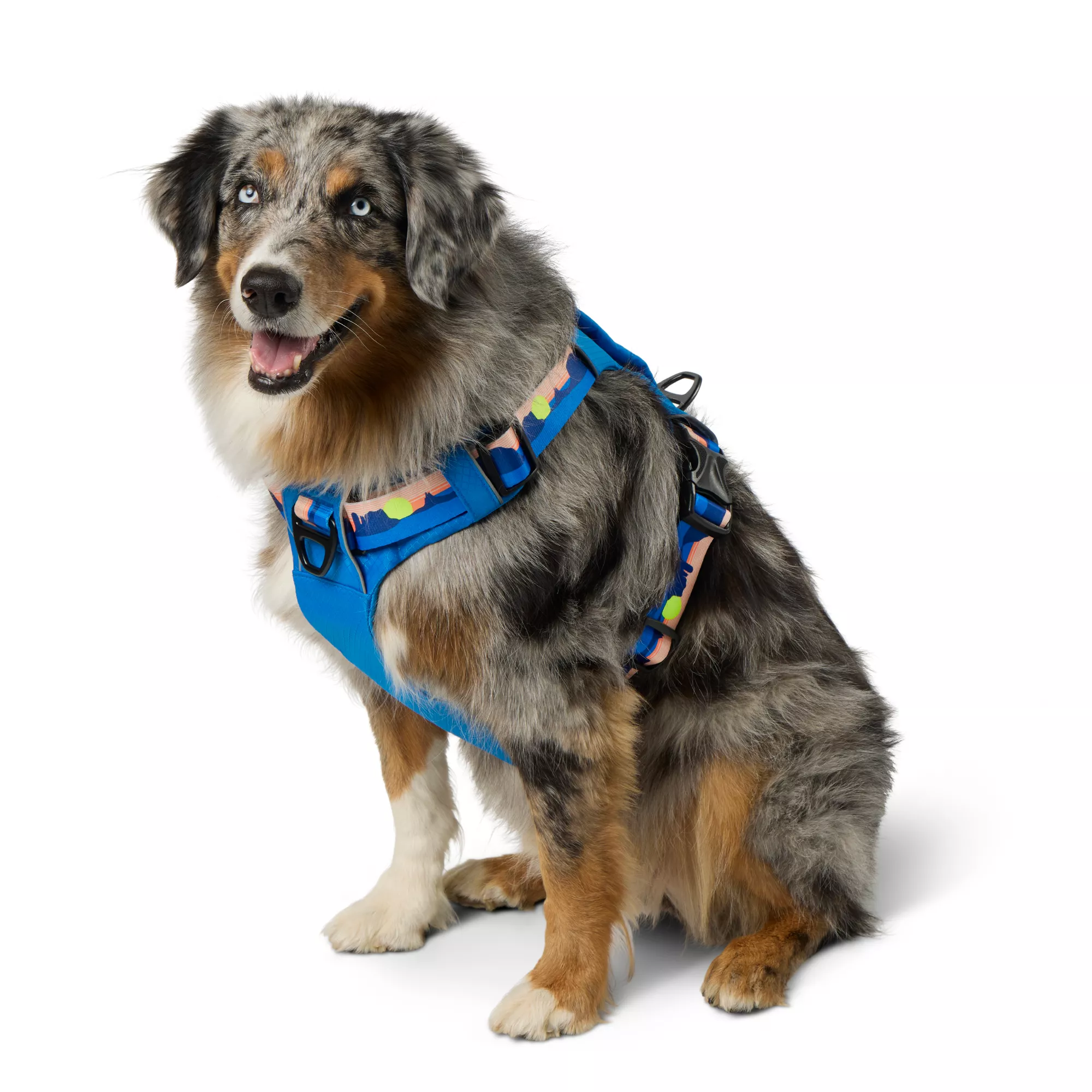 Arcadia Trail® Lightweight Dog Harness