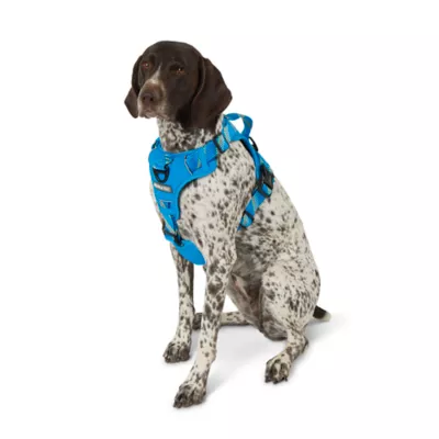 Product Arcadia Trail® Quick Dry Dog Harness