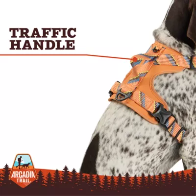 Product Arcadia Trail® Quick Dry Dog Harness